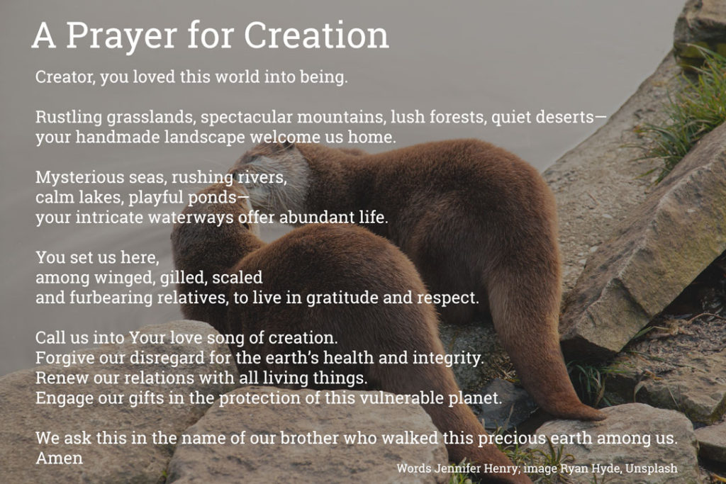 prayer for creation picture of two otters on the rocks