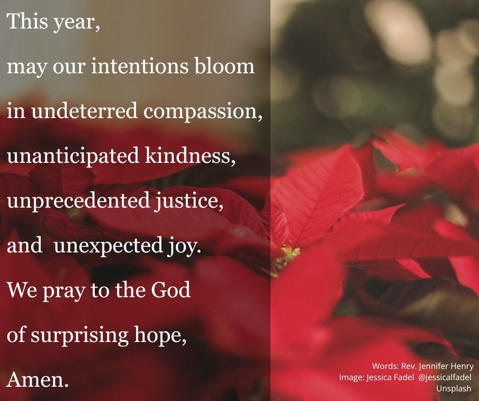 prayer text over a poinsettia