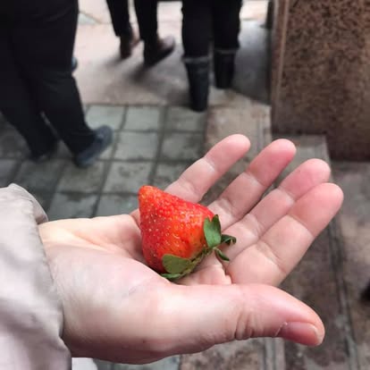 strawberry in the palm of a hand