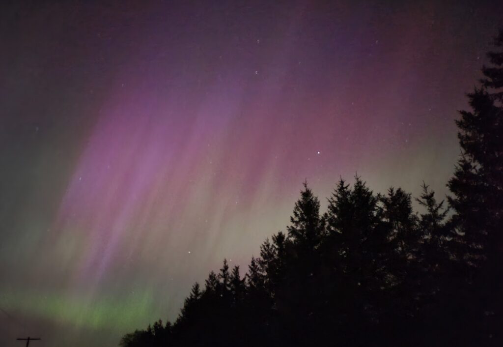 Purple shine of northern lights over trees