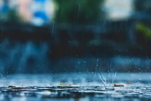 close up of rain drops
